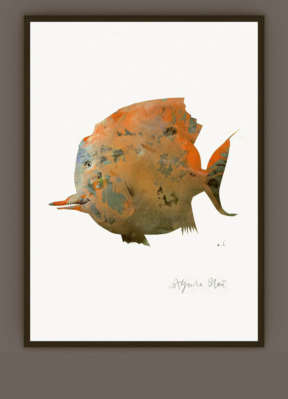 (a series of) Fish