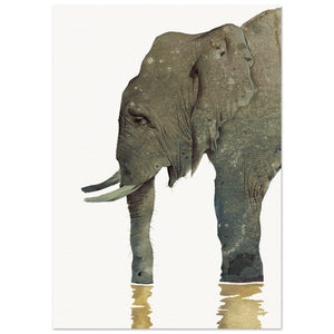 Hathi, the Elephant