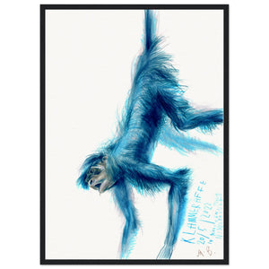 Blue monkey