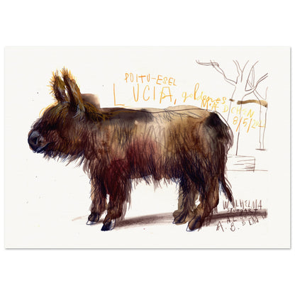 Lucia, the Poitou donkey