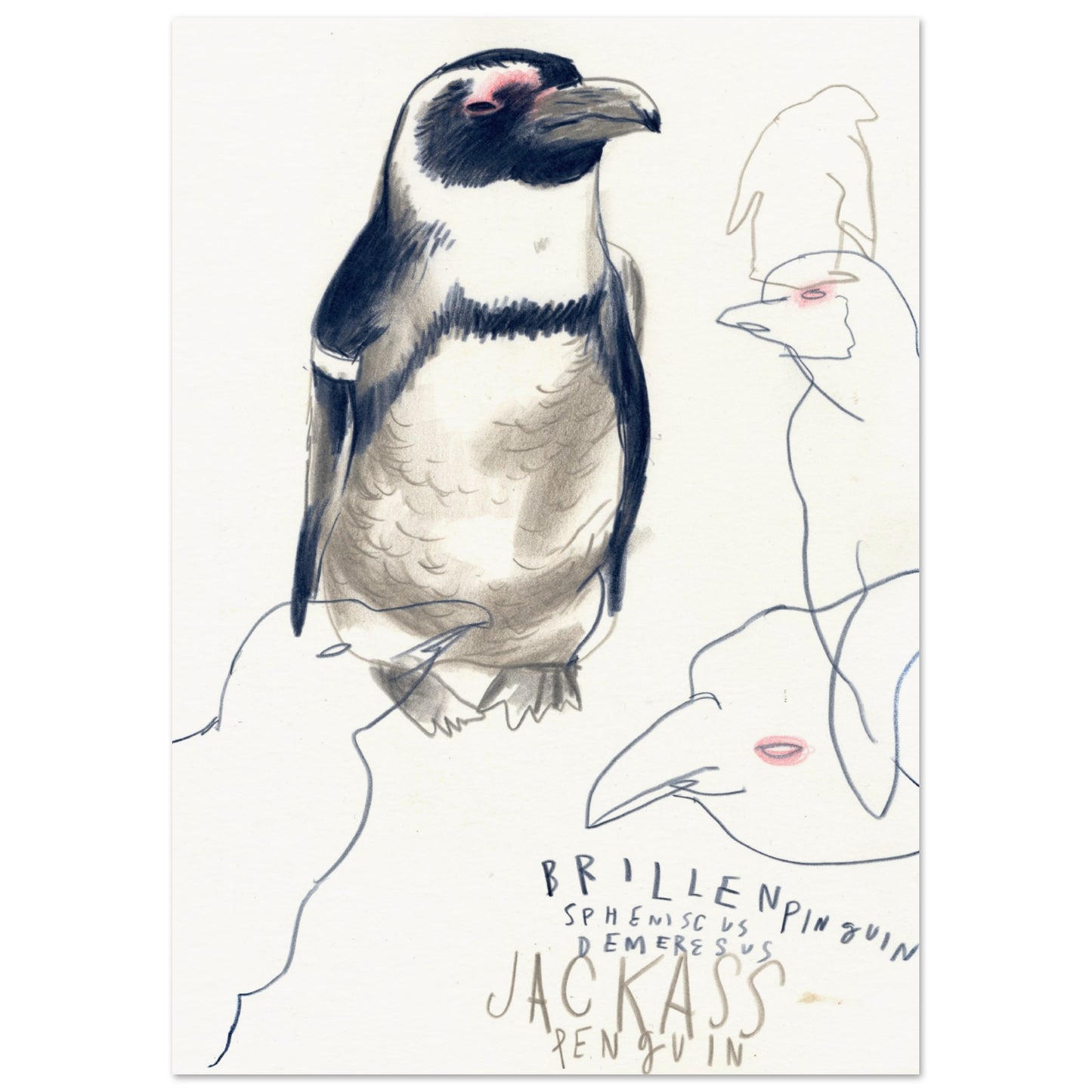 Esel-Pinguin