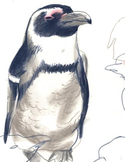 Esel-Pinguin