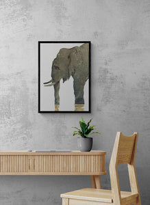 Hathi, the Elephant