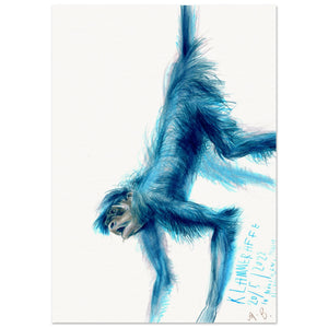 Blue monkey