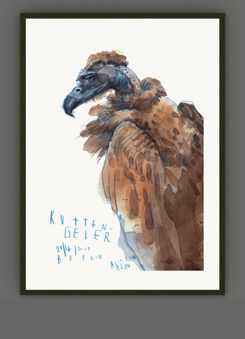 Vulture