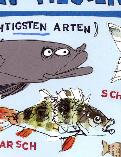 Fische in Alster und Elbe